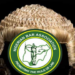 NBA Shuts Down Imo Courts Over Killing Of Judge