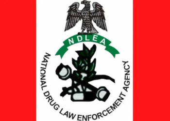 NDLEA Arrests 3 Grandpas, Nigerien With 52kgs Cocaine