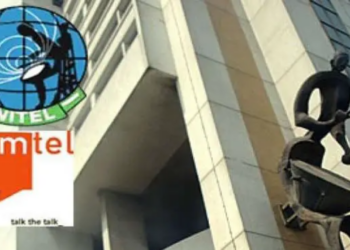 Local Airlines Shutdown Operation Over 2023 Election