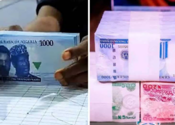 Naira Swap: CSOs Reject Supreme Court Judgement, Want Buhari To Issue Executive Order