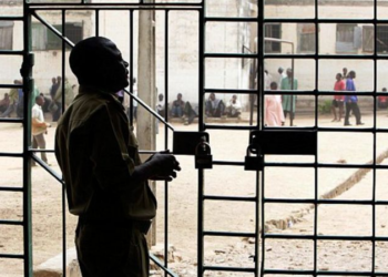 Court Remands Accused Ponzi Scheme Operators In Prison