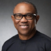 Peter Obi Is Being Impersonated In UK, Labour Party Raises Alarm 5 Obi To Transform Sambisa Forest To Farmland
