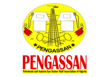 Local Airlines Shutdown Operation Over 2023 Election