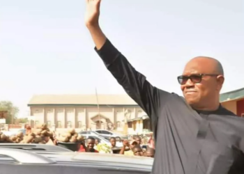 Obi Will Win On Large Voter Turnout  –Stears Poll