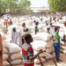 Traders Shut Businesses Over Naira Scarcity In Yobe