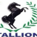 Stallion Refutes Reports Of Indebtedness To GTB