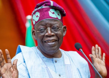 North Can Only Be Trusted By Voting Tinubu – Nma Kolo