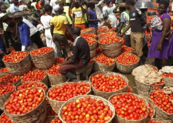 Tomatoes Scarcity Hit Owerri
