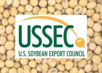 NGO Launches Campaign To Boost Protein Consumption In Nigeria