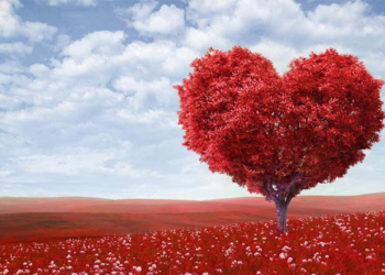 Valentine: Konga Offers Free Movie Date, Other Deals