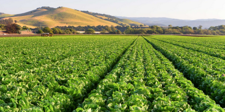 Farming