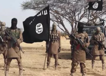 ISWAP Distributes N100,000 Old Naira Notes To Each Borno Passenger