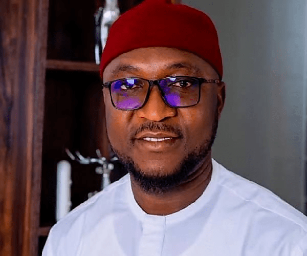 INEC Delists Imo PDP Reps Candidate, Agulanna, From Saturday's NASS Polls 1 agulana