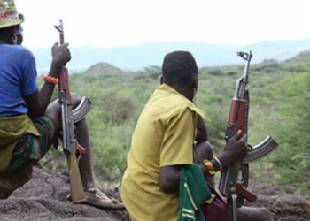 Bandits Kill 2, Abduct 20 Passengers In Niger