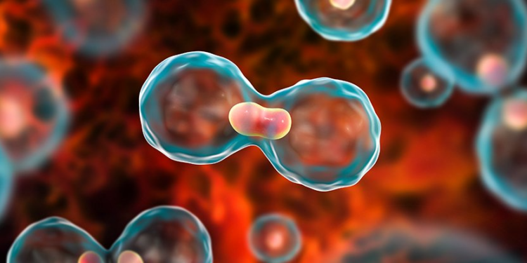 Cervical cancer