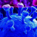 COVID-19: Tokyo Reports 2,232 New Cases