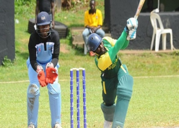 Cricket: NCF Targets 1m Young Nigerians, Deploys Coaches To Schools   