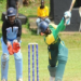Cricket: NCF Targets 1m Young Nigerians, Deploys Coaches To Schools   