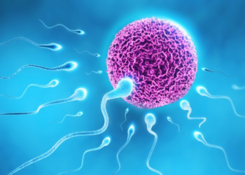 Rise Of Infertility In Nigeria, The Way Out