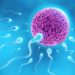 Rise Of Infertility In Nigeria, The Way Out