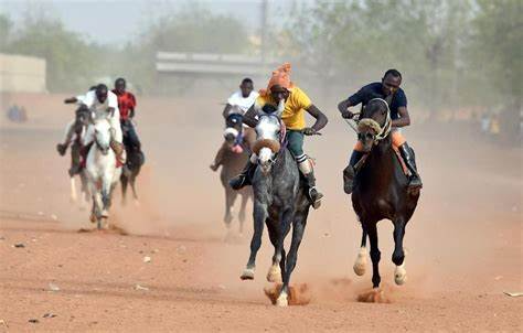 S.D Stable Dominates Premier Horse Racing 2022-2023 Season 1 horse