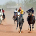 S.D Stable Dominates Premier Horse Racing 2022-2023 Season
