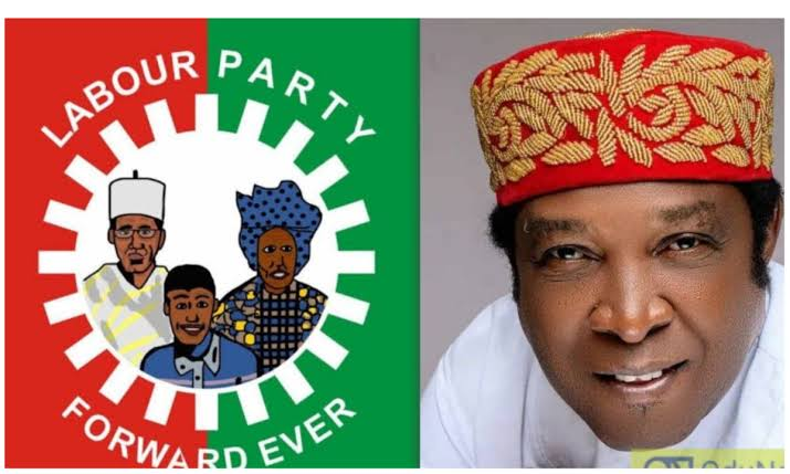 Buhari Orders Manhunt For Killers Of Enugu East LP Senatorial Candidate 1 images 31