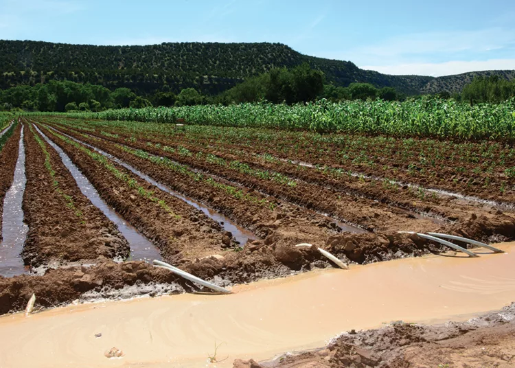 Irrigation Scheme