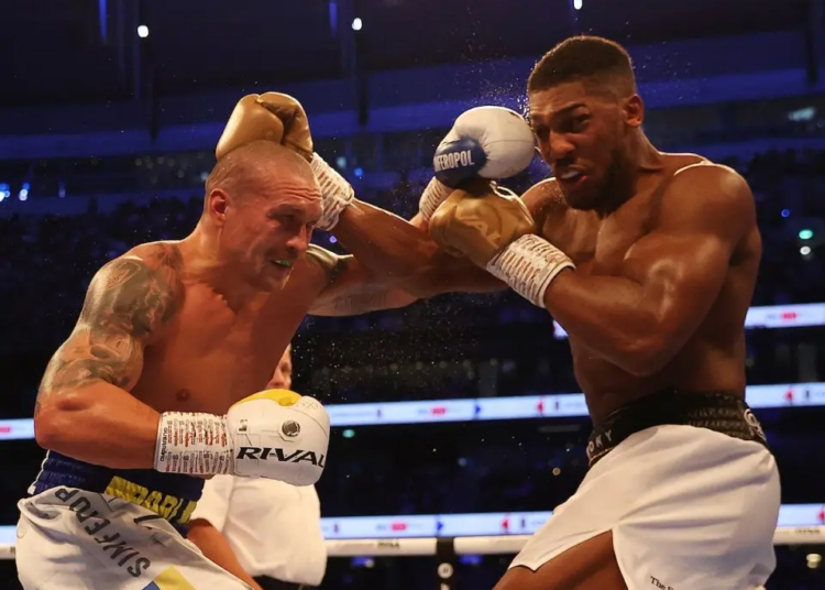 Usyk Names Joshua Among Top Five Boxers