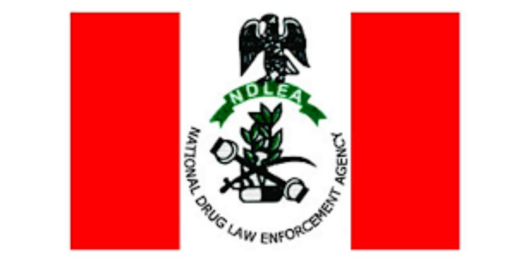 NDLEA