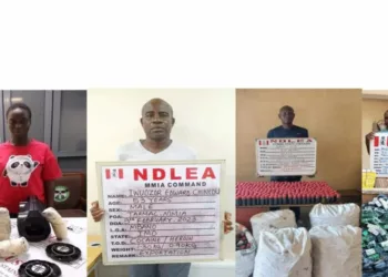 NDLEA Intercepts Europe-bound Cocaine Consignments At Lagos Airport