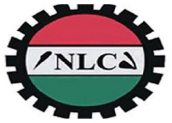 NLC Orders Abia Council To Mobilise For Action Over Unpaid Salaries 
