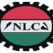 NLC Orders Abia Council To Mobilise For Action Over Unpaid Salaries 