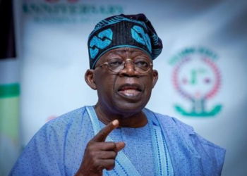 North Will Vote Massively For Tinubu, Arewa Group