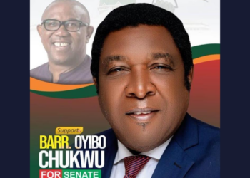 JUST-IN: Peter Obi Kicks As Gunmen Kill Enugu East LP Senatorial Candidate