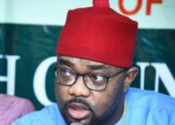 2023 Polls: Ugochinyere Declared Winner Of Ideato Federal Constituency Election
