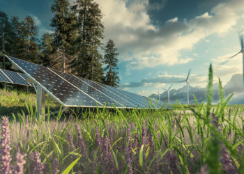 African Countries Should Embrace Renewable Energy – Experts