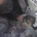 Turkiye-Syria Quake: Girl, 4, Rescued As Death Toll Hits 5,000