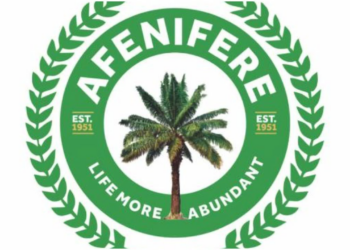 Afenifere Suspends Spokesman, 1 Other Over ‘Unauthorised Statements’