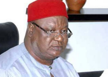 After Presidential Poll, Ex-Senate President Anyim Returns To Farm