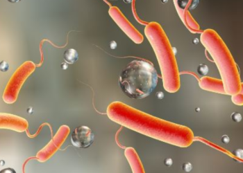 Cholera Outbreak Kills 2 In Ebonyi