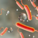Cholera Outbreak Kills 2 In Ebonyi 5 Cholera Outbreak Kills 2 In Ebonyi