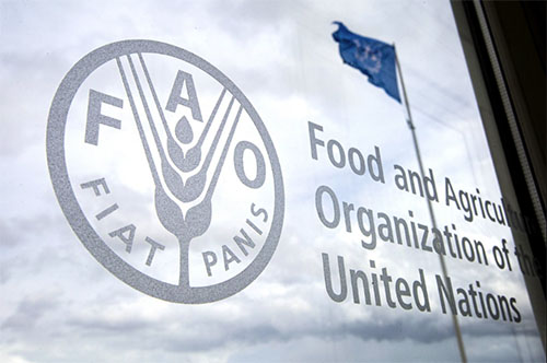 Global Food Prices Drop For 11 Straight Months – FAO 1 FAO