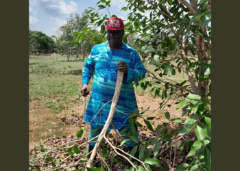 After Presidential Poll, Ex-Senate President Anyim Returns To Farm