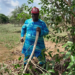 After Presidential Poll, Ex-Senate President Anyim Returns To Farm