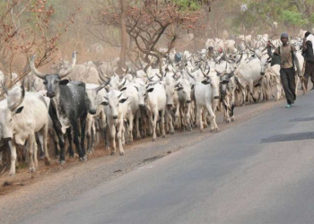 Unmask Killer-herdsmen In Benue Now