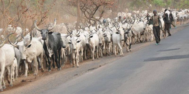 Herdsmen