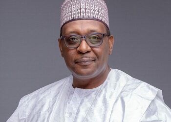 Pate’s GAVI Appointment Brings Global Technological Visibility To Nigeria – Acholonu