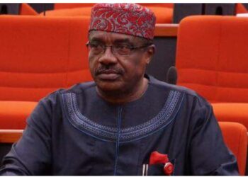 Ohuabunwa Cries Foul Over Abia North Result