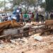 FCTA Demolishes Durumi’s Notorious Monkey Village In Abuja